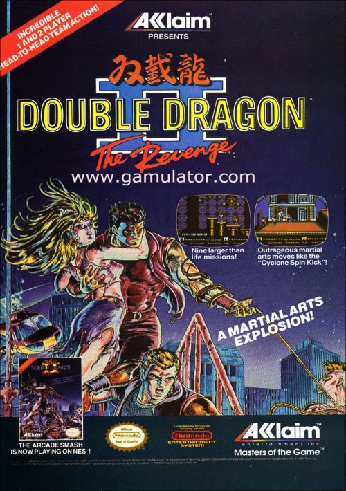 Double Dragon II - The Revenge game thumb