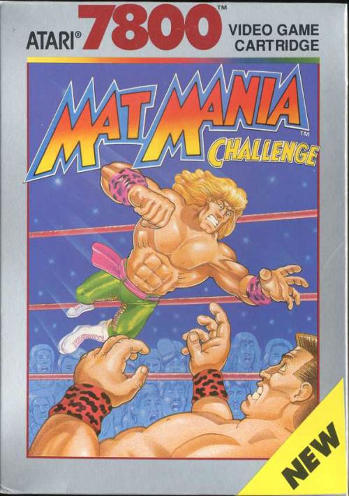 Mat Mania Challenge game thumb