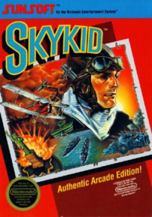 Sky Kid game thumb