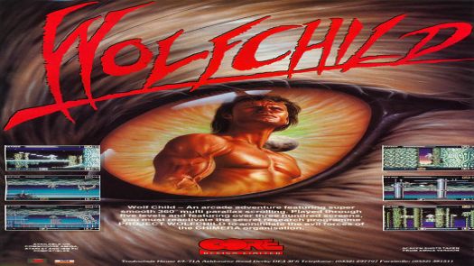 Wolfchild_Disk1 ROM