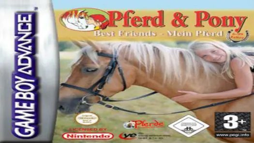 Best Friends - My Horse game