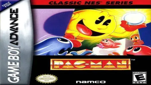 Classic NES - Pac-Man game