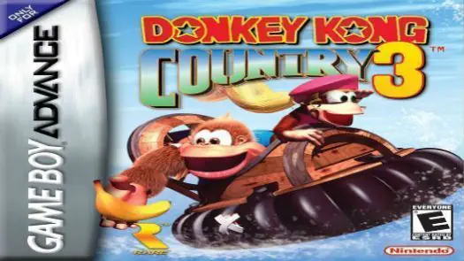 Donkey Kong Country 3 Game