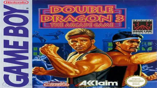 Double Dragon 3 game