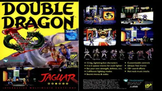 Double Dragon V - The Shadow Falls game