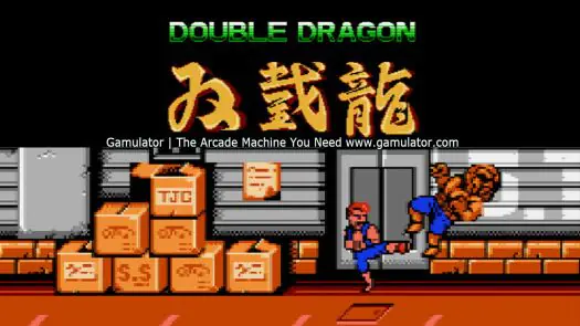 Double Dragon game