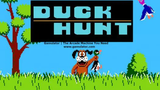 Duck Hunt game