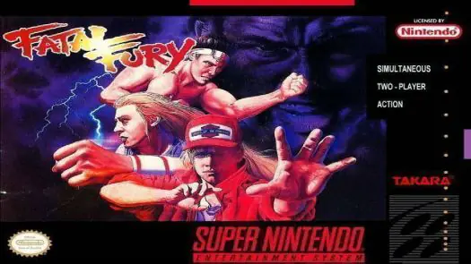 Fatal Fury game