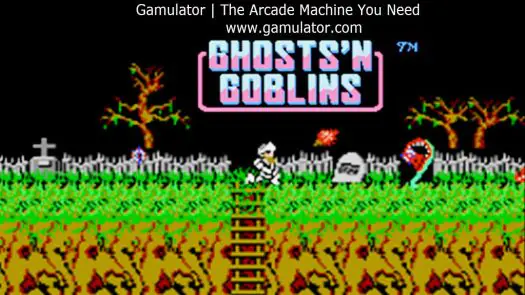 Ghosts'n Goblins game