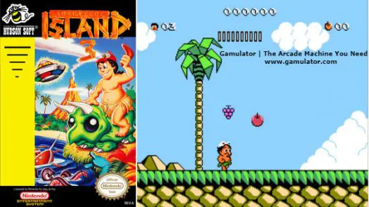 Hudson's Adventure Island III game