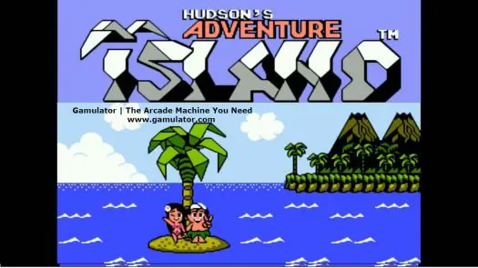 Hudson's Adventure Island game