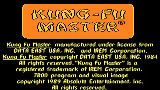 Kung-Fu Master game