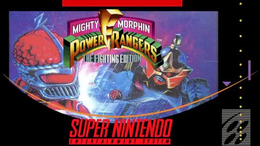 Mighty Morphin Power Rangers - The Fighting Edition Game