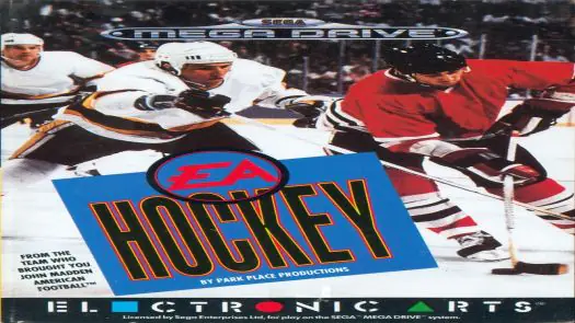 NHL Hockey 91 game