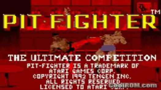 Pit Fighter - The Ultimate Competition game