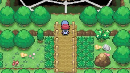 Pokemon Deserted game