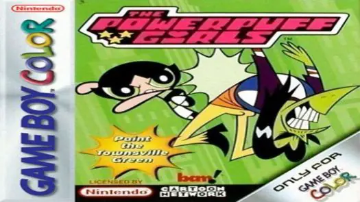 Powerpuff Girls, The - Paint The Townsville Green game