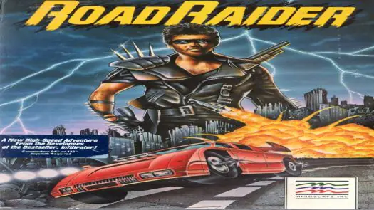 Road Raider game