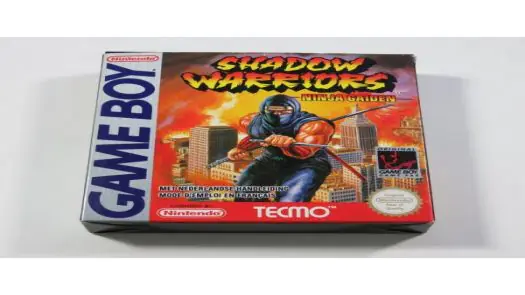 Shadow Warriors game