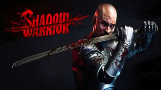 Shadow Warriors (World, set 1) game