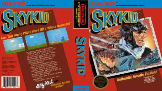 Sky Kid game