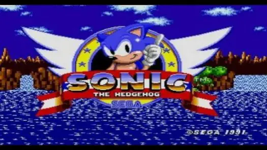 Sonic The Hedgehog game