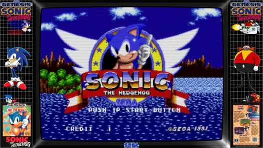 Sonic the Hedgehog Game