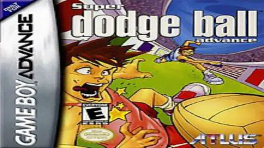 Super Dodgeball Advance game