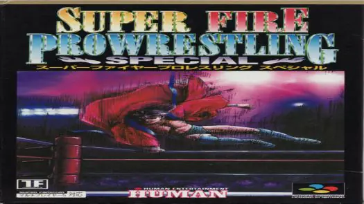 Super Fire Pro Wrestling Special game