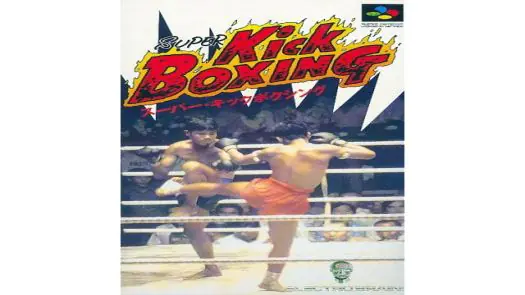 Super Kick Boxing game