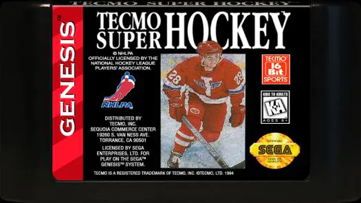 Tecmo Super Hockey game