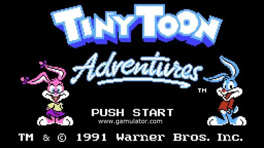 Tiny Toon Adventures game