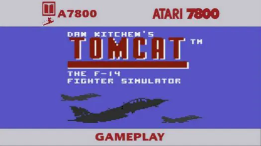 Tomcat - The F-14 Fighter Simulator game
