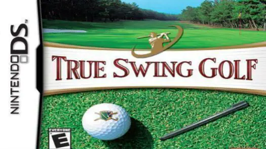 True Swing Golf game