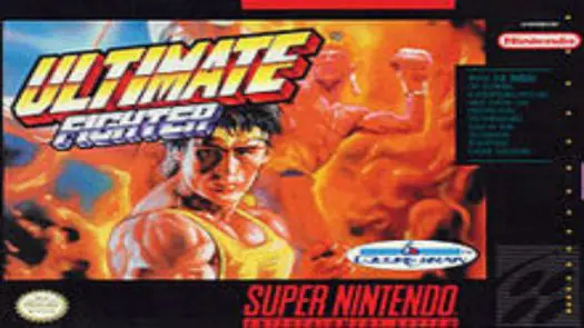 Ultimate Fighter game