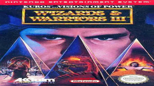 Wizards & Warriors 3 game