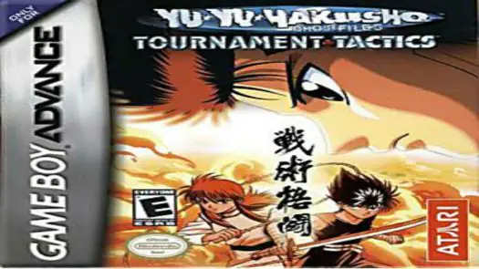 Yu Yu Hakusho Tournament Tactics game